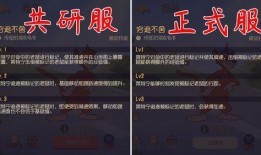 共研服最新爆料,揭秘游戏新内容与更新动向